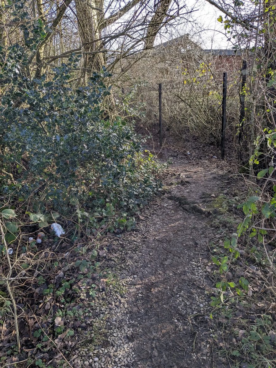 Keep Bury Clean 🌳 tweet media