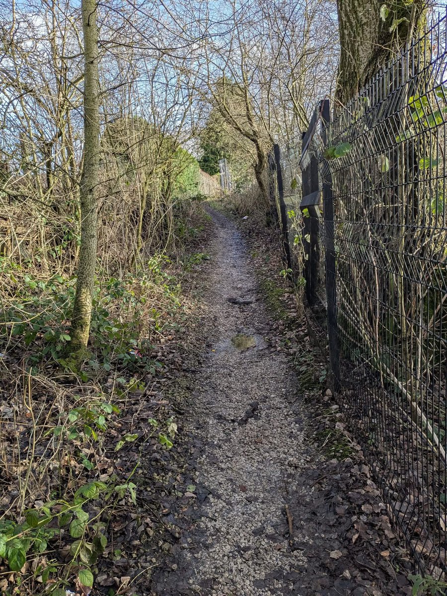 Keep Bury Clean 🌳 tweet media