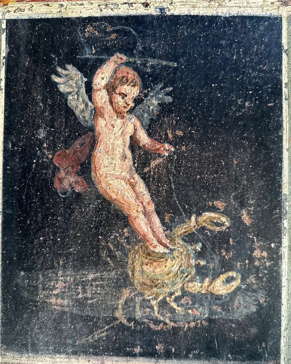 A putto waterskiing on a crab features in my latest (free) newsletter. It’s about two houses at Pompeii, old money discretion versus new money bling. You can guess which is the more fun. 

understandingrome.substack.com/p/februarys-po…