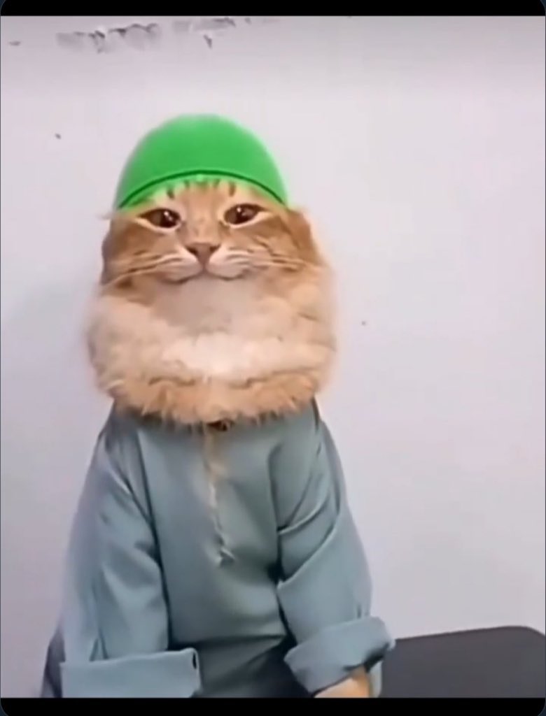 123Notrightnow's tweet photo. Pump burdan devam etmiyorsa artık müslüman kedi evrimimi tamamlayacağım https://t.co/v0Wge2Gxdt