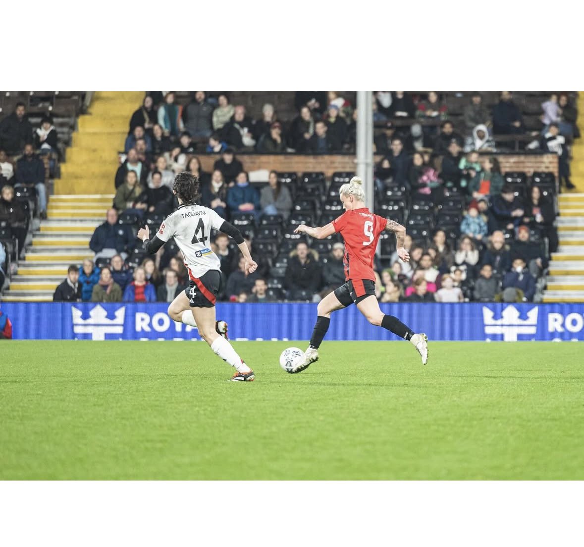 Molly Hill tweet media