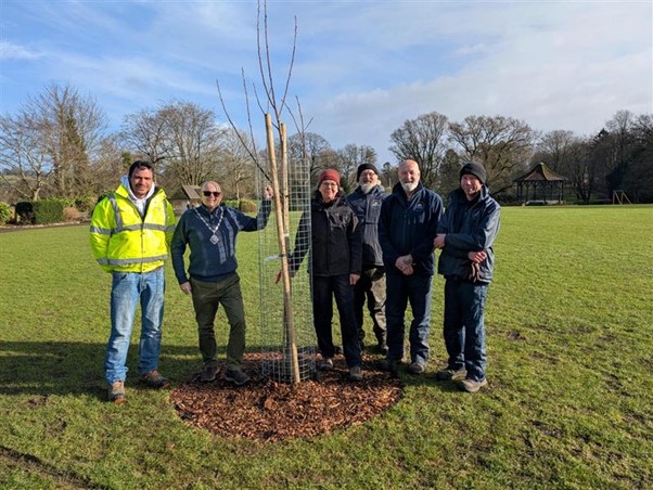SomersetCouncil's tweet image. Nearly 700 trees will be planted in Somerset thanks to a grant from the Urban Tree Challenge Fund! 🌳🌳

 Find out more 👉 orlo.uk/ceGDp