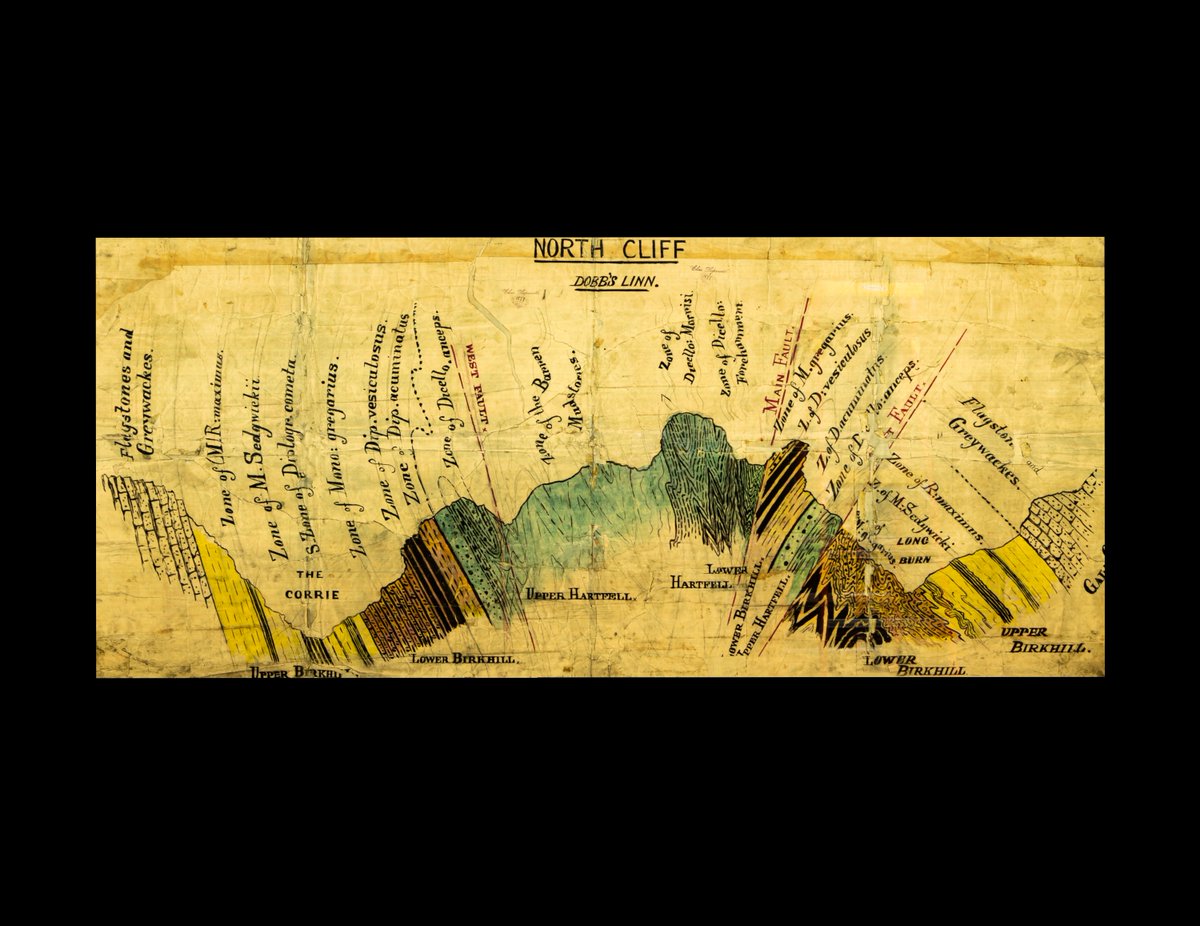 lapworthmuseum's tweet photo. This cross-section of the Southern Uplands shows the rock units and graptolite zones identified by Charles Lapworth, allowing him to unravel the region's complex geological history!
#FoldFriday #FaultFriday #FossilFriday #LapworthRocks #geology #petrology #structural #fossils https://t.co/05XFwdOHu5