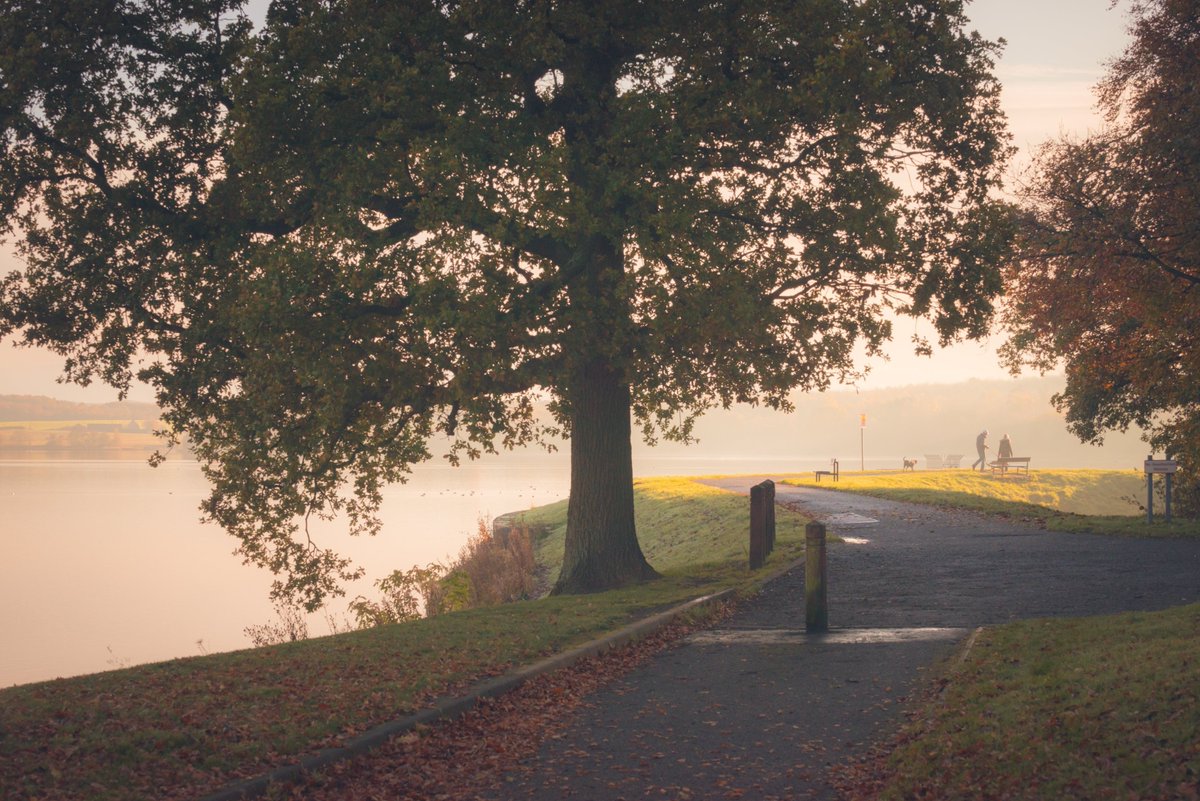 WWCTrustScot's tweet photo. Visit Clackmannanshire with this mainly traffic-free #RouteOfTheWeek 🚵

From Alloa, cycle on #NationalCycleNetwork Routes 767 and 768 to the Ochil Hills villages, and detour to Gartmorn Dam or the Black Devon Wetlands.

Find out more 👉 https://t.co/1ffzoNRRtc
📸 Damien Shields https://t.co/PDgCKgSr2b