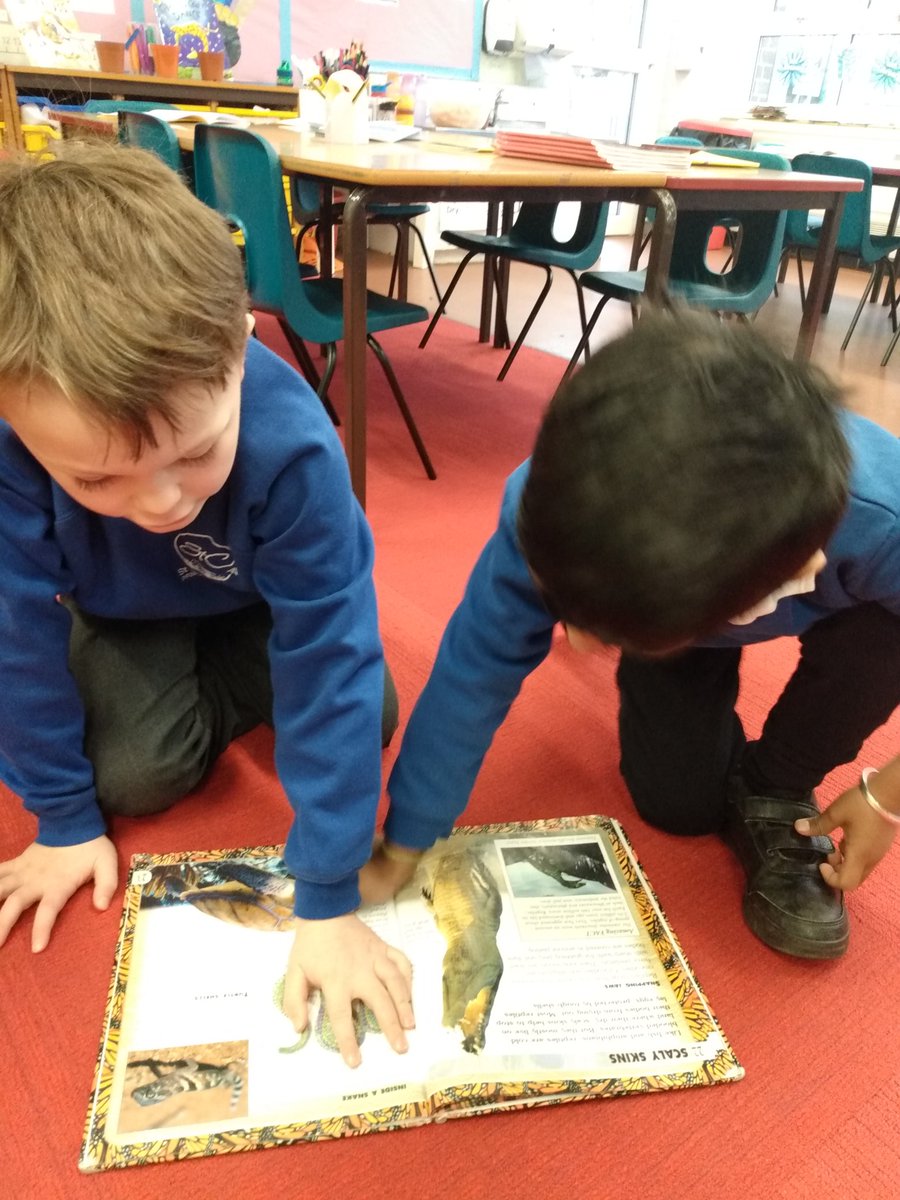 St Christopher Primary tweet media