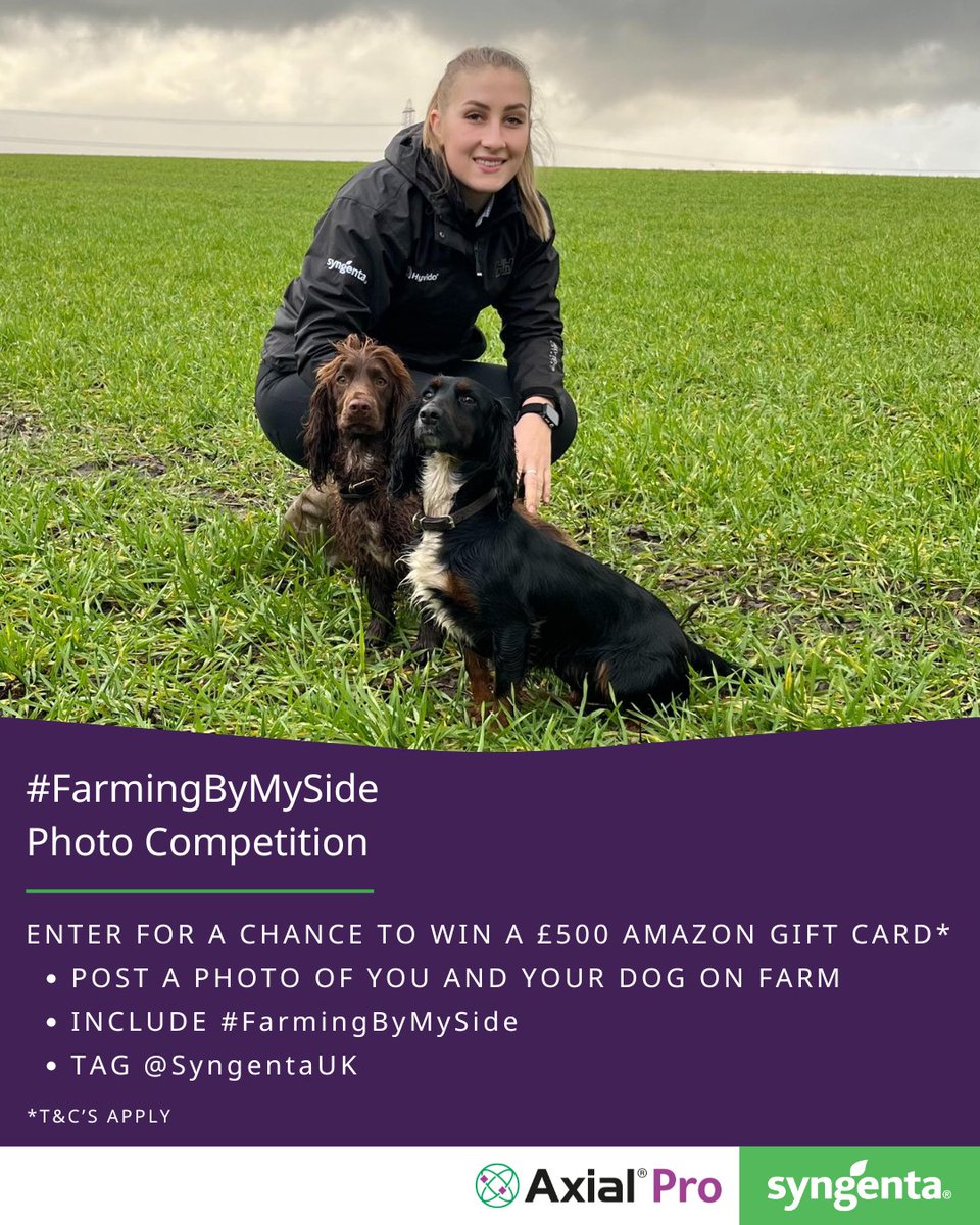 SyngentaUK's tweet photo. 📸 🐕Don't miss your chance to win £500 in Amazon gift cards!
To enter, simply:
- Post a photo of you and your dog on farm
- Include #FarmingByMySide
- Tag @SyngentaUK
...for your chance to win our AXIAL® Pro FarmingByMySide photo competition.
We can’t wait to see your trusted farm companions!
Click here for full terms and conditions of this competition: https://t.co/miMZapvIfX