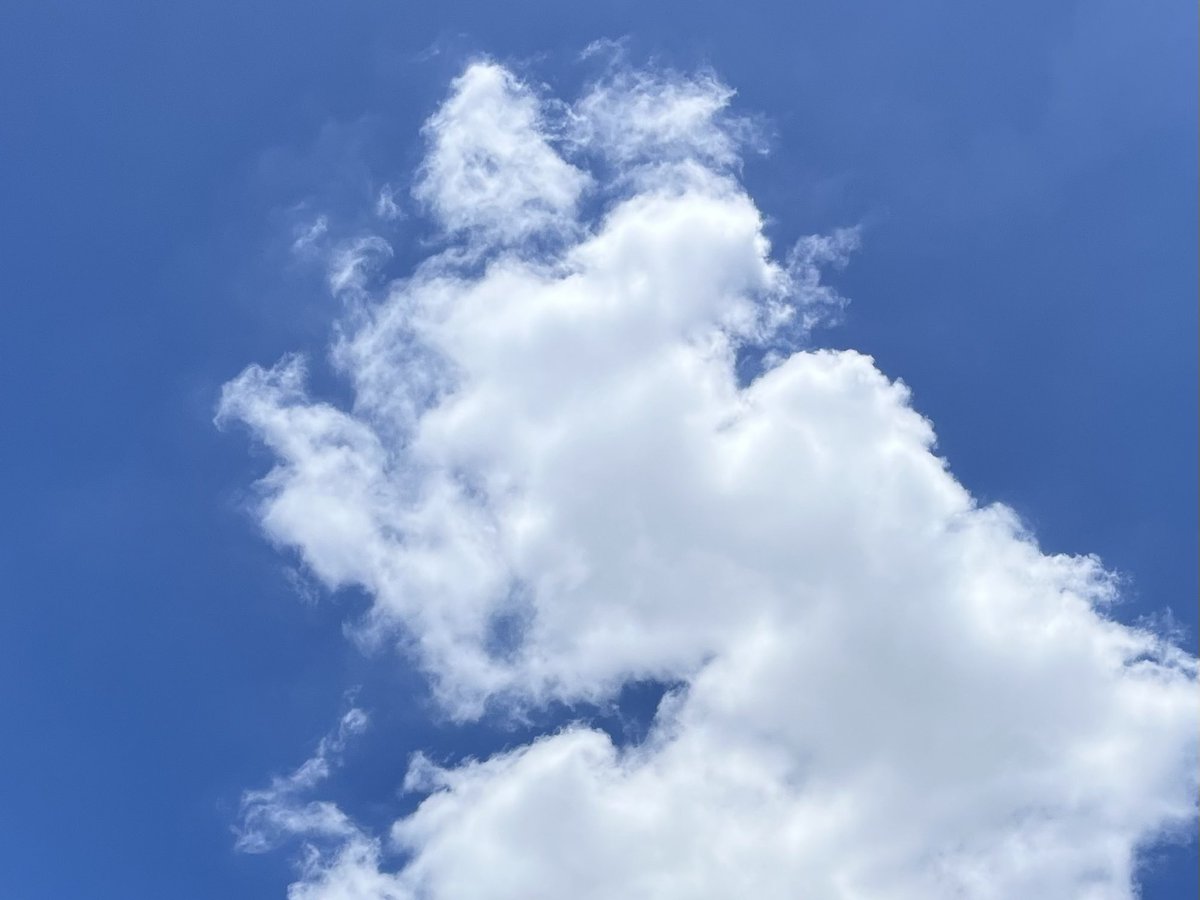 Nik ☁️ tweet media