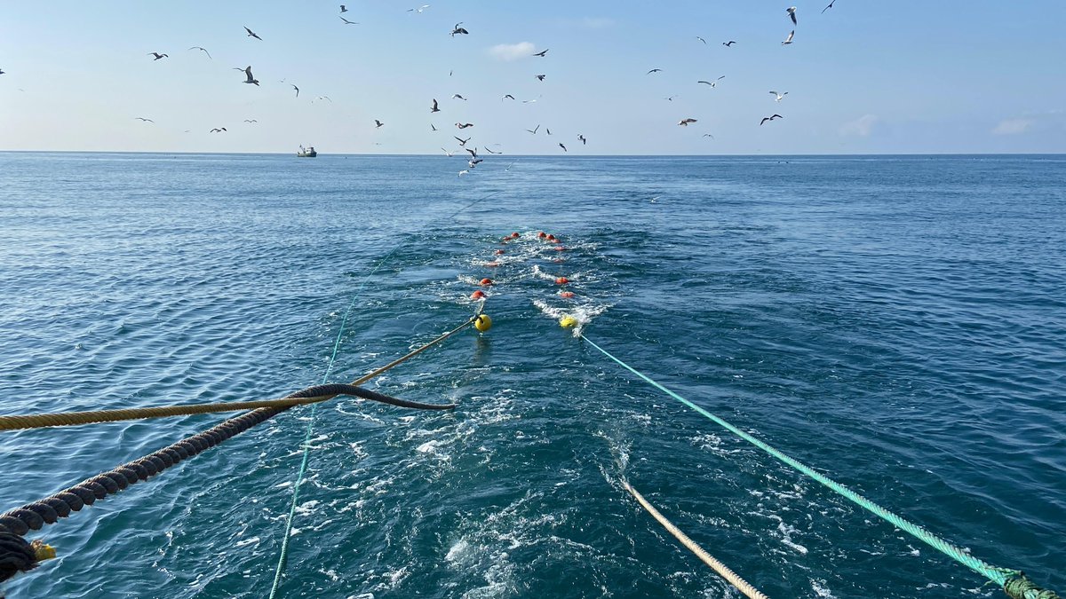 UN_FAO_GFCM's tweet photo. Georgia has completed its first standardized demersal trawl #survey using the #GFCM iBotS manual❗️

Experts from the National Environment Agency collected data on GFCM priority #species in Georgian waters, improving our understanding of #BlackSea marine resources &amp; stock status. https://t.co/K11nMHLhNf