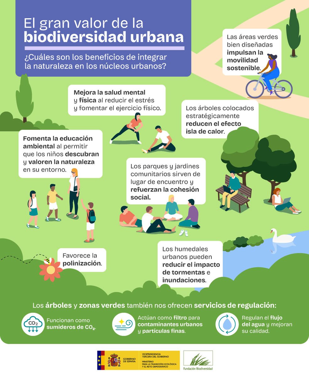 La #biodiversidad urbana es esencial para lograr ciudades más sostenibles, habitables y resilientes 🌿🐝

Los espacios verdes mejoran la calidad del aire, reducen el calor y fomentan la conexión con la naturaleza.

¡Protejamos la vida en nuestras ciudades!