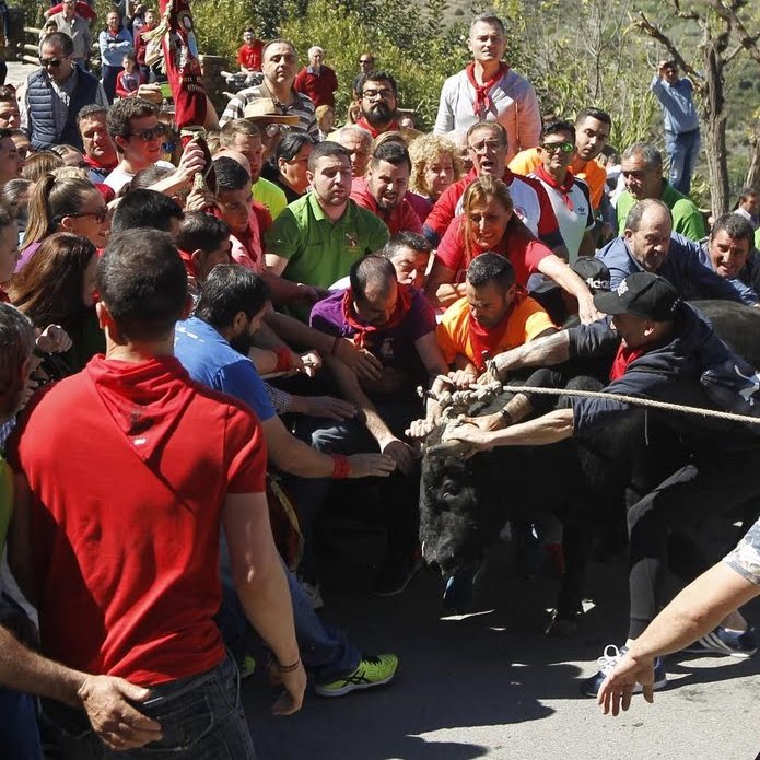 Quieren que una turba de salvajes ensogando toros sea de "Interés Turístico Andaluz" 😳😳

La imagen de la España que no tiene en cuenta los más elementales criterios de respeto y empatía.
