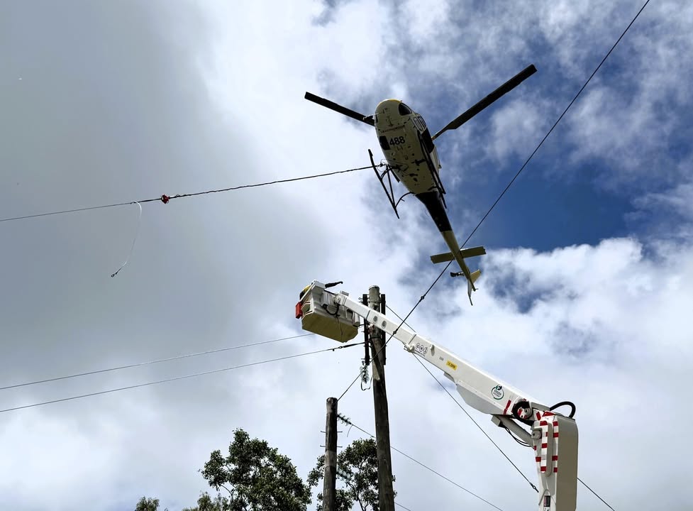 Ergon Energy Network tweet media