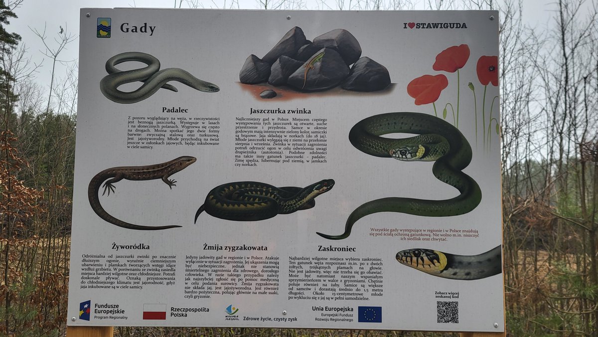 #gady #warmia #stawiguda #tablica