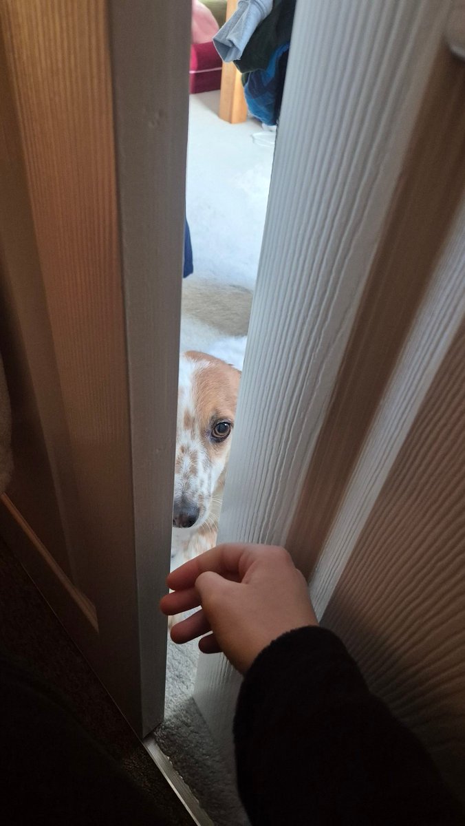 Using my wardrobe as my recording studio... the dog wants to help as always 🤣

Thanks for the recommendation @rhiannonlj14

#actorslife #actorsuk #voiceactor #voiceover #audiobook #narrator #wardrobeacting #lovemyjob #whatismyjob
