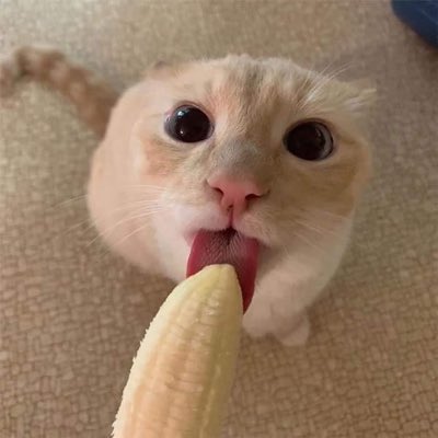 669_grace's tweet photo. #NewProfilePic https://t.co/OUEN4KaPts