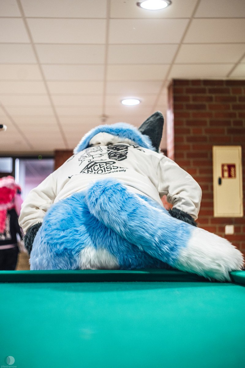 Oh no, it's a full moon 🌚
Happy #FursuitFriday!

📸: <a href="/lextramow/">Lexi McSwirl</a>