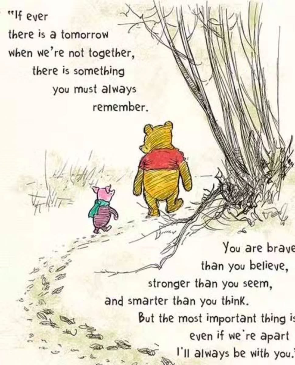 Steph McCahill ☎️ (@smccahill) on Twitter photo 