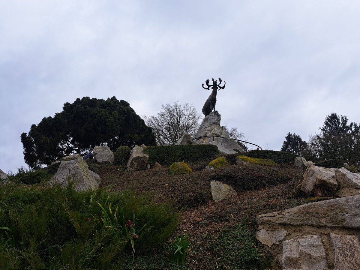 Y10 have started the day retracing the footsteps of the Newfoundland Regiment on 1st July 1916. The regiment suffered an 86% casualty rate on that day.
