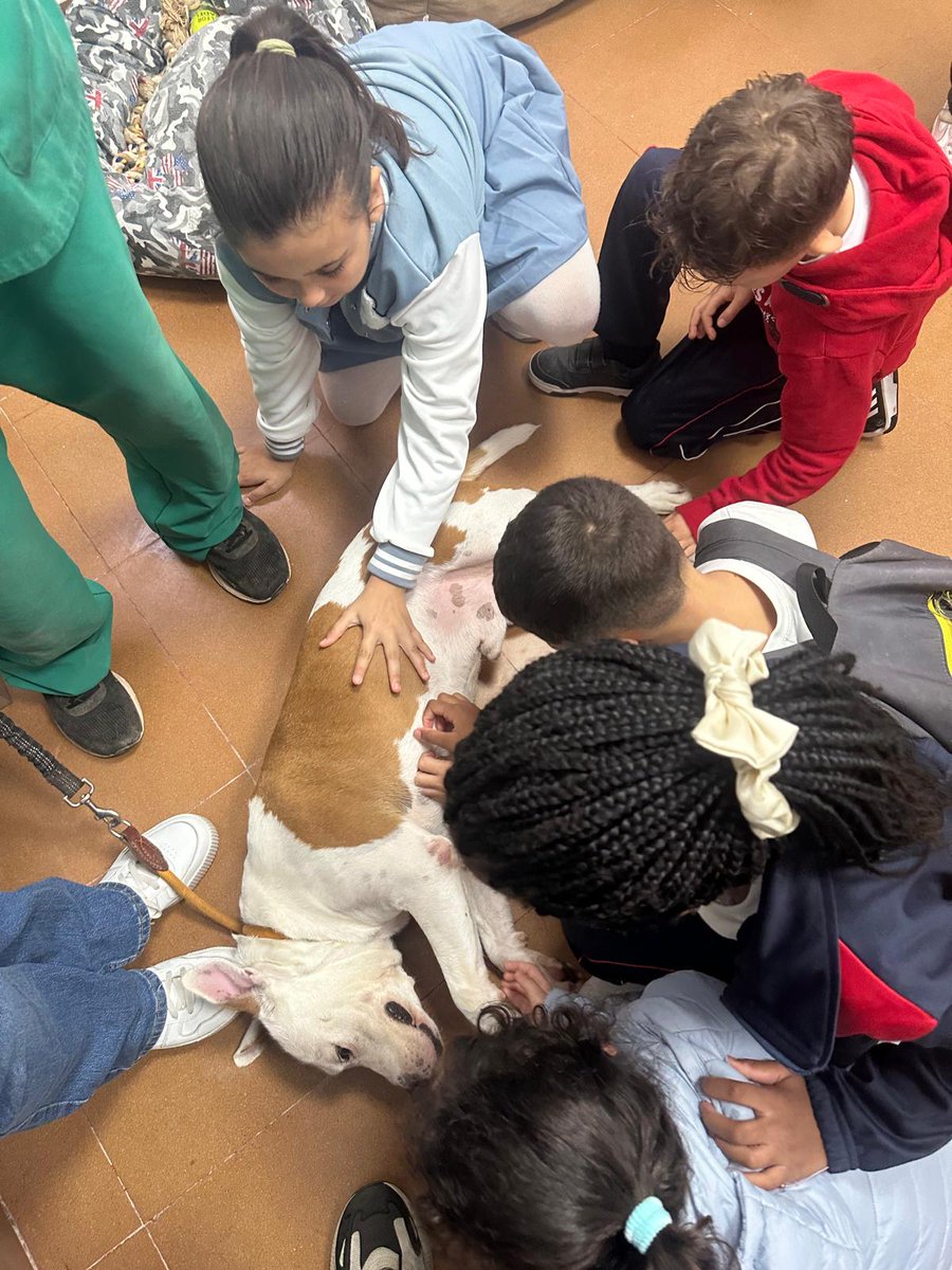 Visita al Albergue Insular de Animales de Gran Canaria 
Las niñas y los niños muestran empatía, responsabilidad, protección, … Se suman a la sensibilización para la adopción y tenencia responsable
<a href="/AdsisCanarias/">Fundacion Adsis Can</a> <a href="/FundlaCaixa/">Fundación ”la Caixa”</a> #CaixaProinfancia