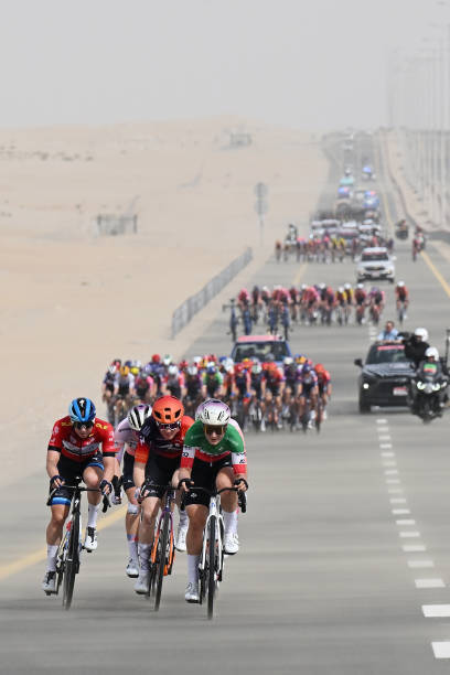 elsterrato tweet media