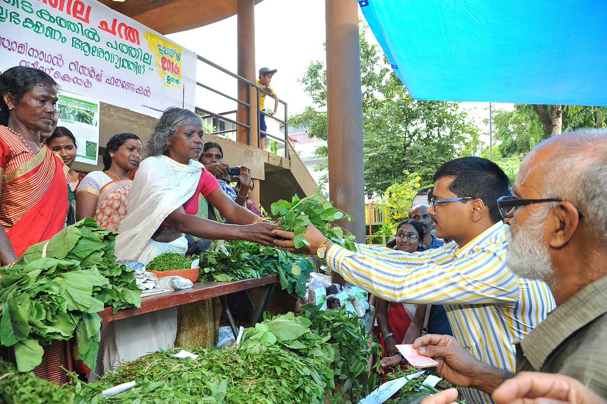 Mongabay India (@mongabayindia) on Twitter photo Organic paddy fields harbour an abundance of wild edible greens, which support nutritional and medicinal needs of indigenous communities.
<a href="/cabcmssrf/">CAbC-MSSRF</a> <a href="/mssrf/">MSSRF</a> <a href="/BioBasicsIndia/">Bio Basics</a> <a href="/Thanal1986/">Thanal Trust</a> <a href="/sweta_biswal/">Sweta_Biswal</a>
✒️ <a href="/YellowTurmeric/">Sharmila Vaidyanathan</a>
india.mongabay.com/2025/02/revivi… Organic paddy fields harbour an abundance of wild edible greens, which support nutritional and medicinal needs of indigenous communities.
<a href="/cabcmssrf/">CAbC-MSSRF</a> <a href="/mssrf/">MSSRF</a> <a href="/BioBasicsIndia/">Bio Basics</a> <a href="/Thanal1986/">Thanal Trust</a> <a href="/sweta_biswal/">Sweta_Biswal</a>
✒️ <a href="/YellowTurmeric/">Sharmila Vaidyanathan</a>
india.mongabay.com/2025/02/revivi…