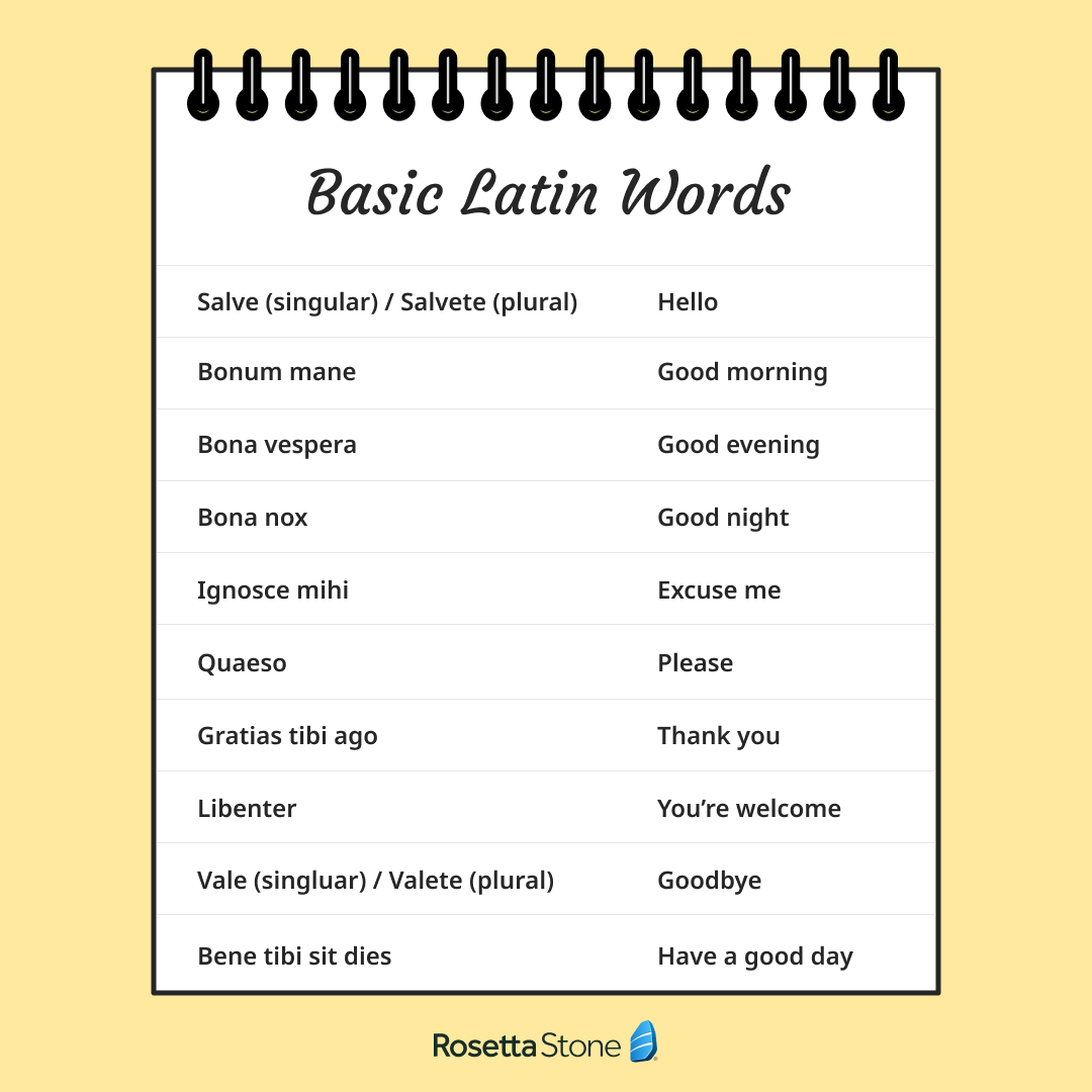 funny-latin-sayings-and-meanings