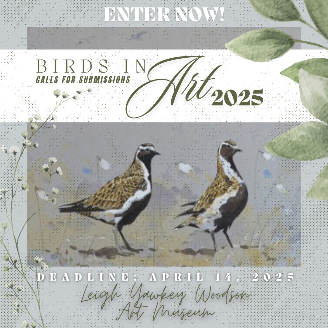 artcontests's tweet photo. Leigh Yawkey Woodson Art Museum - Birds in Art 2025 - The Leigh Yawkey Woodson Art Museum invites submissions to its 50th annual juried Birds in Art exhibition. Deadline to submit: April 14, 2025. https://t.co/keyvACWG1a

#TheArtList #LeighYawkeyWoodsonArtMuseum #BirdsinArt2025 https://t.co/ql80HHH2GR