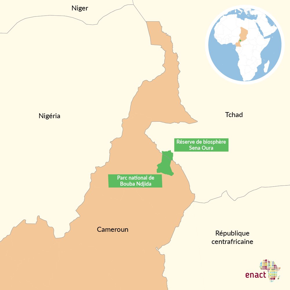 L’opération « Paix » du Cameroun est une stratégie de #militarisation verte qui vise à protéger les #éléphants du braconnage pendant la saison sèche. Comment la renforcer ?

ISS Today par Raoul Sumo Tayo <a href="/ENACT_Africa/">ENACT</a> issafrica.org/fr/iss-today/r…