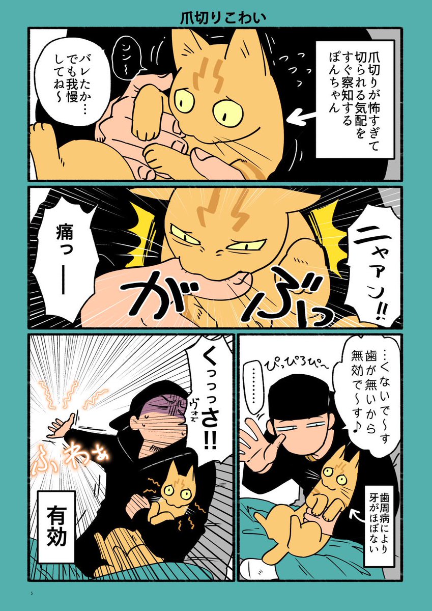 姉妹猫それぞれの違い

#漫画が読めるハッシュタグ #実録 #猫のあんとぽん #猫 #cats #日記 