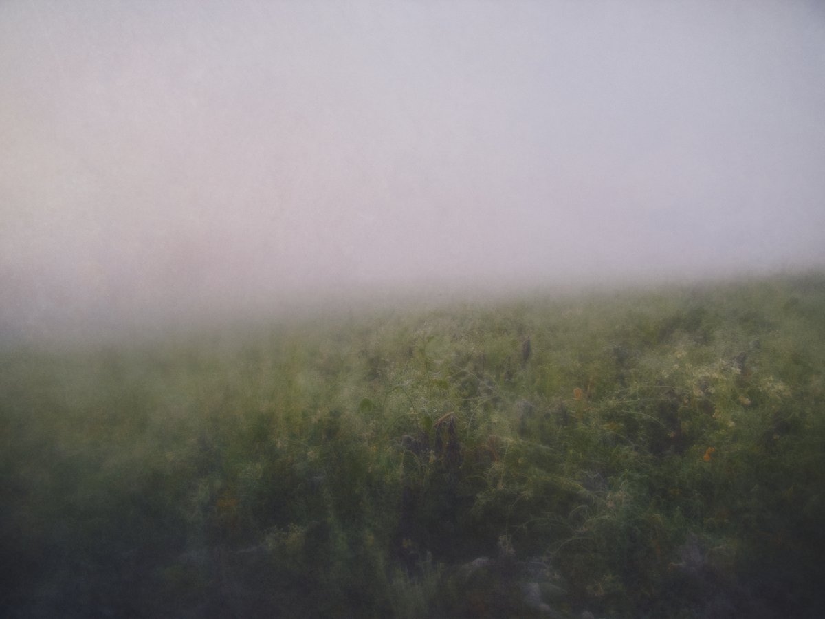 Thaddäus tweet media