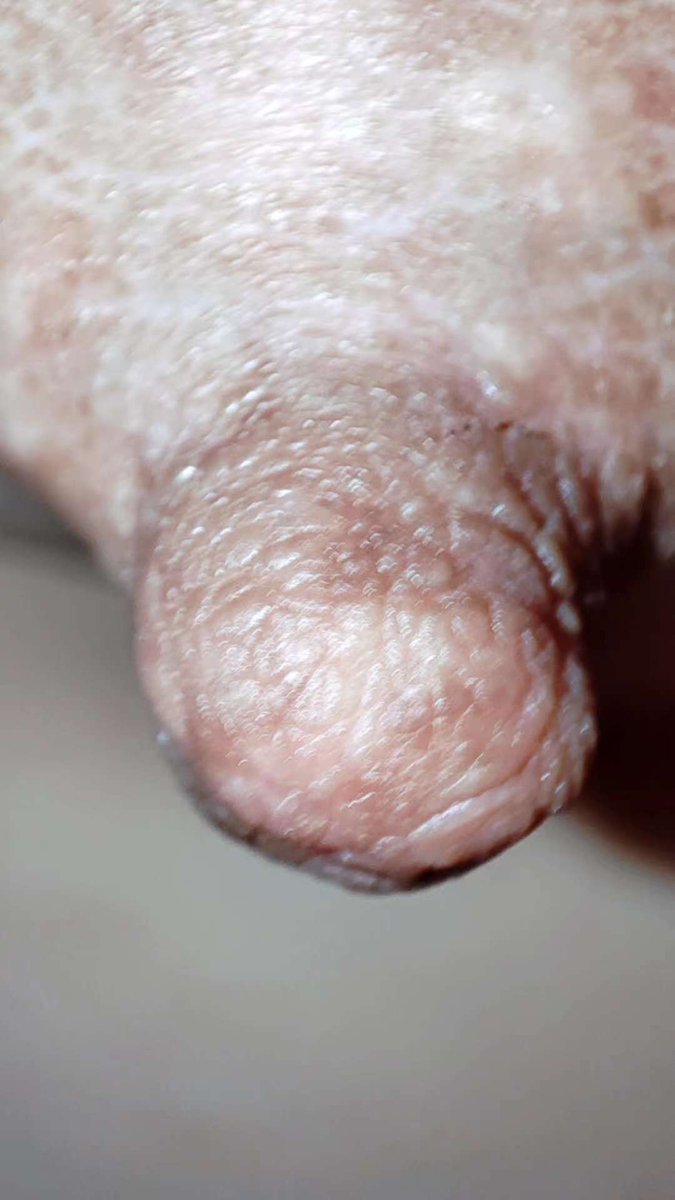 福利姬Ashley分享的黄推图片2 - 网红私拍内容