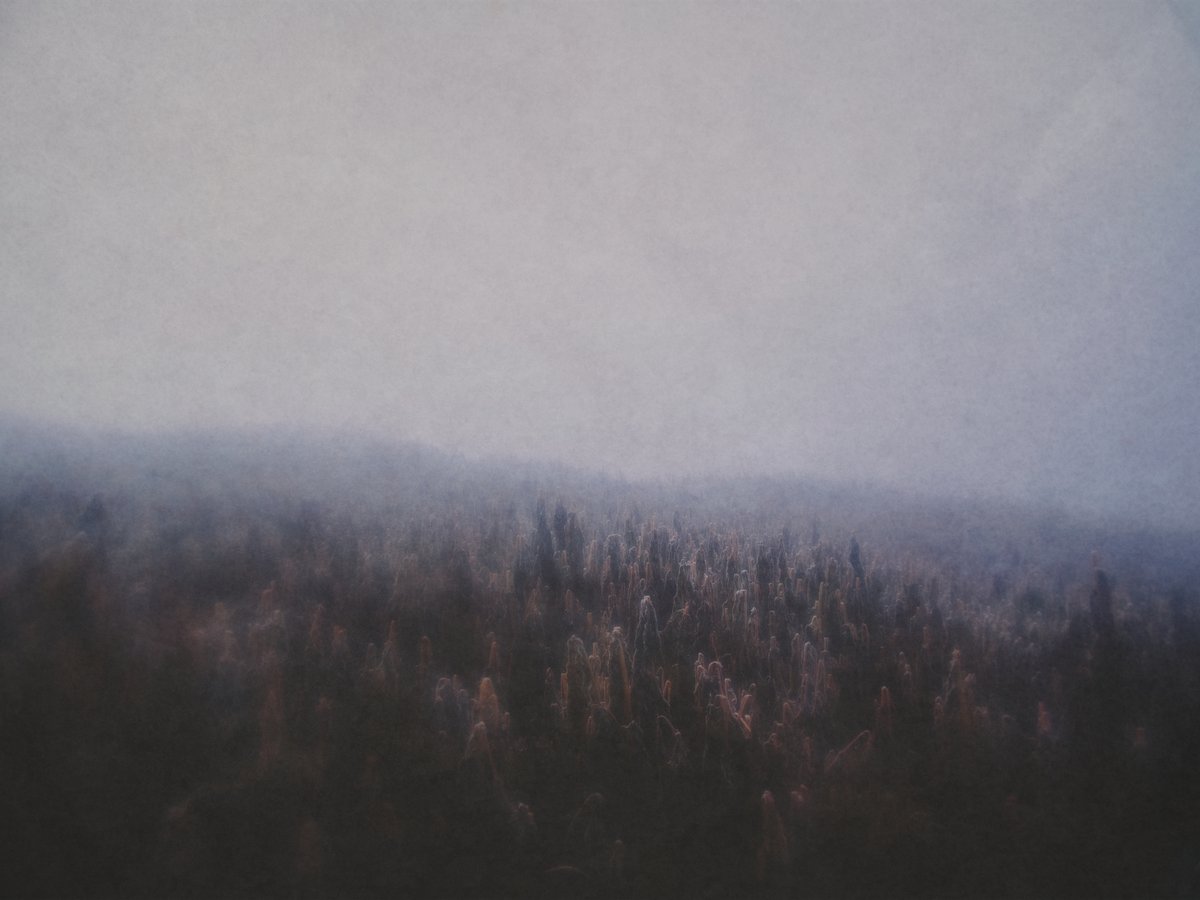 Thaddäus tweet media