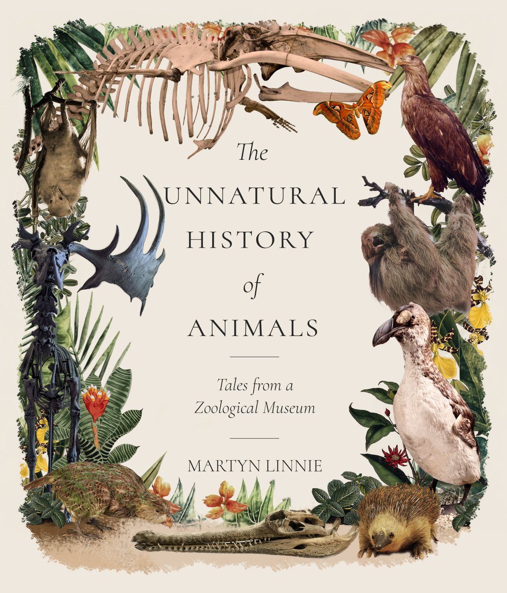 Have really enjoyed working on this beautiful book, The Unnatural History of Animals, with Martyn Linnie of
<a href="/TCD_NatSci/">School of Natural Sciences, Trinity College Dublin</a>
<a href="/TCDZooMuseum/">TCD Zoology Museum</a>
, and can't wait to see it hit the bookshops next month, with a foreword by
<a href="/laoneill111/">Luke O'Neill</a>
Learn more here: redstripepress.com/books/the-unna…