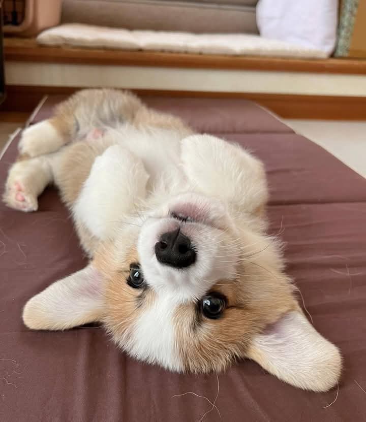 Good morning friends. ❤️🇺🇲