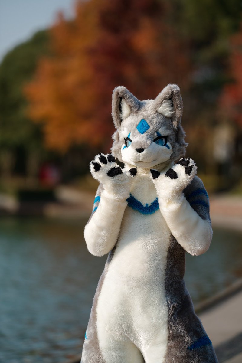 小狗给您开朵花～
🌸🐶
📷<a href="/tannfoto/">塔恩tann</a>
#FursuitFriday