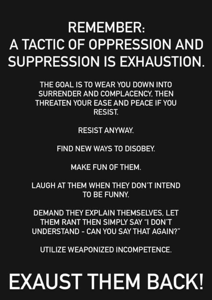 NancyDoleMcGuig's tweet photo. @krassenstein Mere distractions.  They’re doing a good job wearing the press and people down.  We must stay strong backing our Democrat leaders.. there’s is the hard job.  Our is easy keeping the word out and urging people to fight back with truth  
#WeWillBeFree 💙💪🏼🇺🇸 https://t.co/ml1QyitRf1