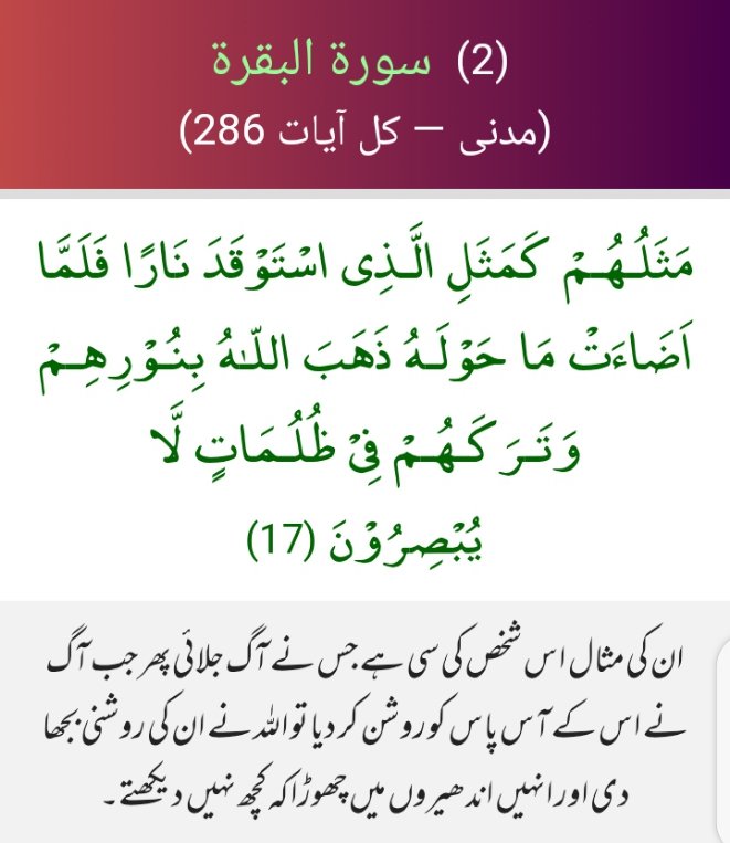 اعوذباللہ من الشیطان الرجیم 
بسم اللہ الرحمٰن الرحیم
 Their example is that of someone who kindles a fire, but when it lights up all around them, Allah takes away their light, leaving them in complete darkness—unable to see.
#خاتم_النبیین_رَحۡمَةًلِّلۡعَٰالَمِينَ_محمّدﷺّ