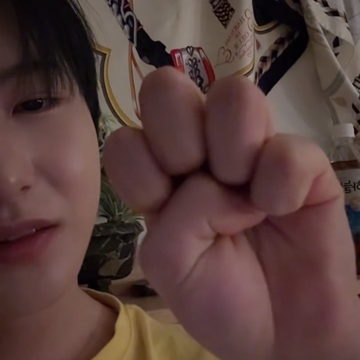 🐶: เบบี๋ เมี๊ยวๆๆๆเร็ว เมี๊ยววๆๆ
🦊: เมี๊ยววๆ🐾