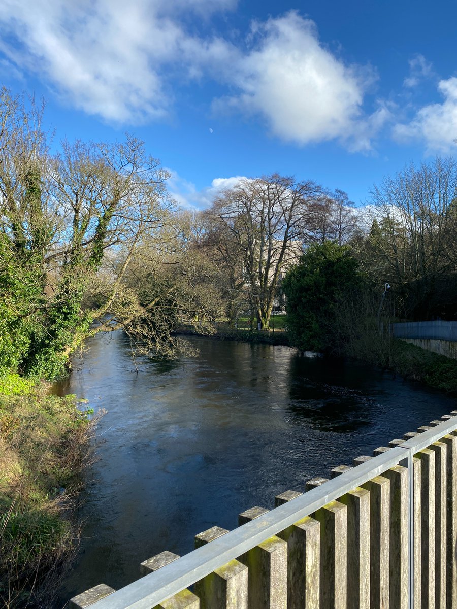Thank you <a href="/jpquinn78/">JP Quinn</a> for sharing your short stories: moving, funny &amp; poignant. The January weather was perfect yesterday, as in one of your stories🙂@ucc <a href="/UCC/">UCC Ireland</a>Library @UCCAlumDevel