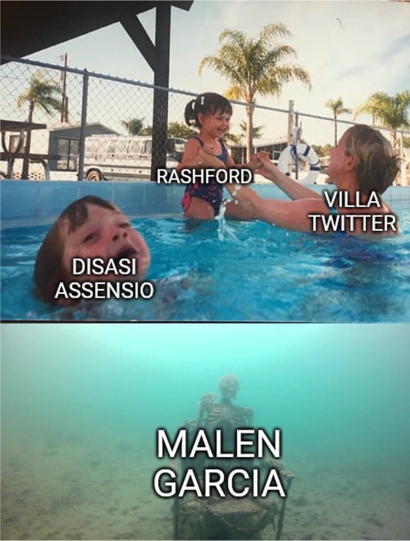 steveydu's tweet image. #avfc