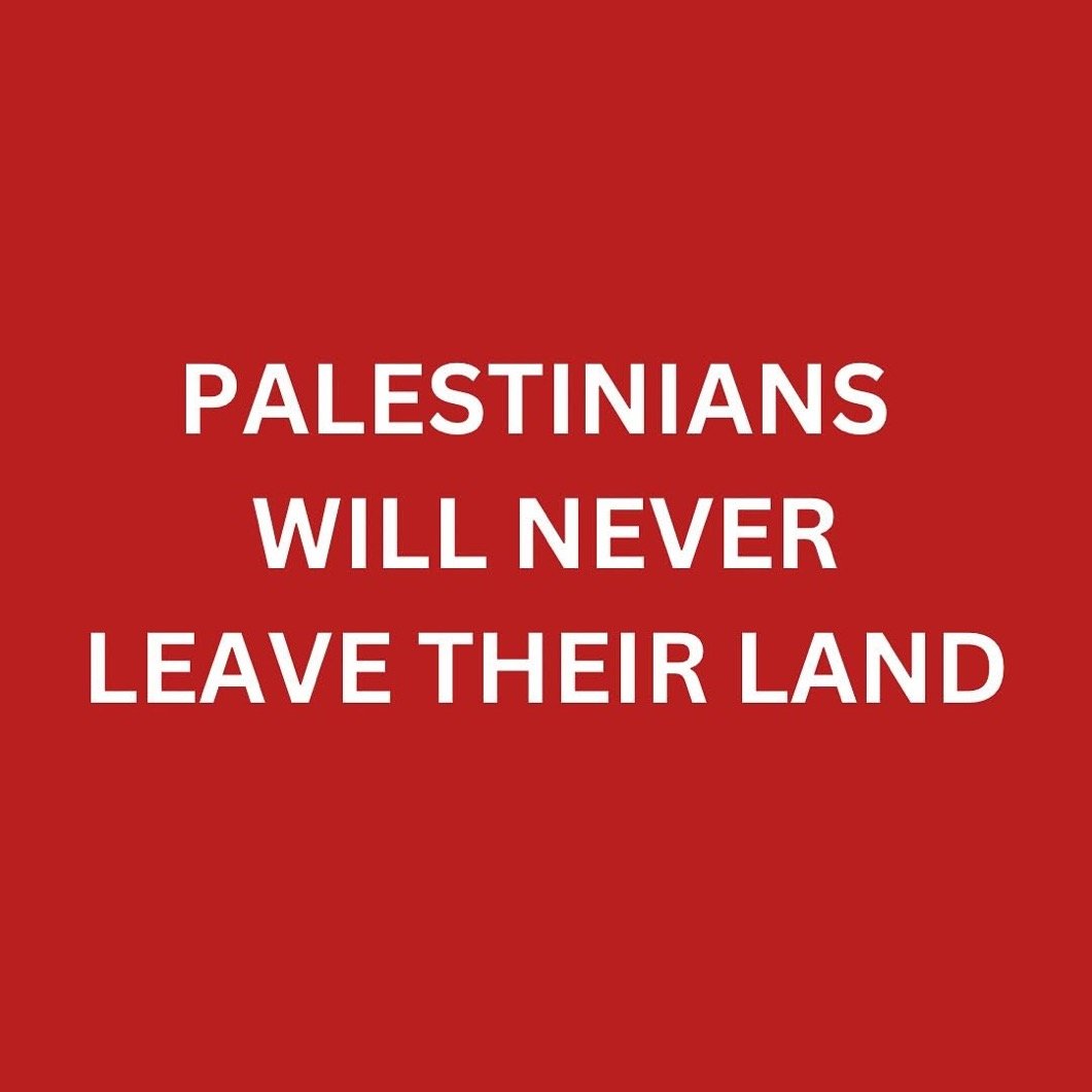 jacksonhinklle's tweet image. Do you understand?