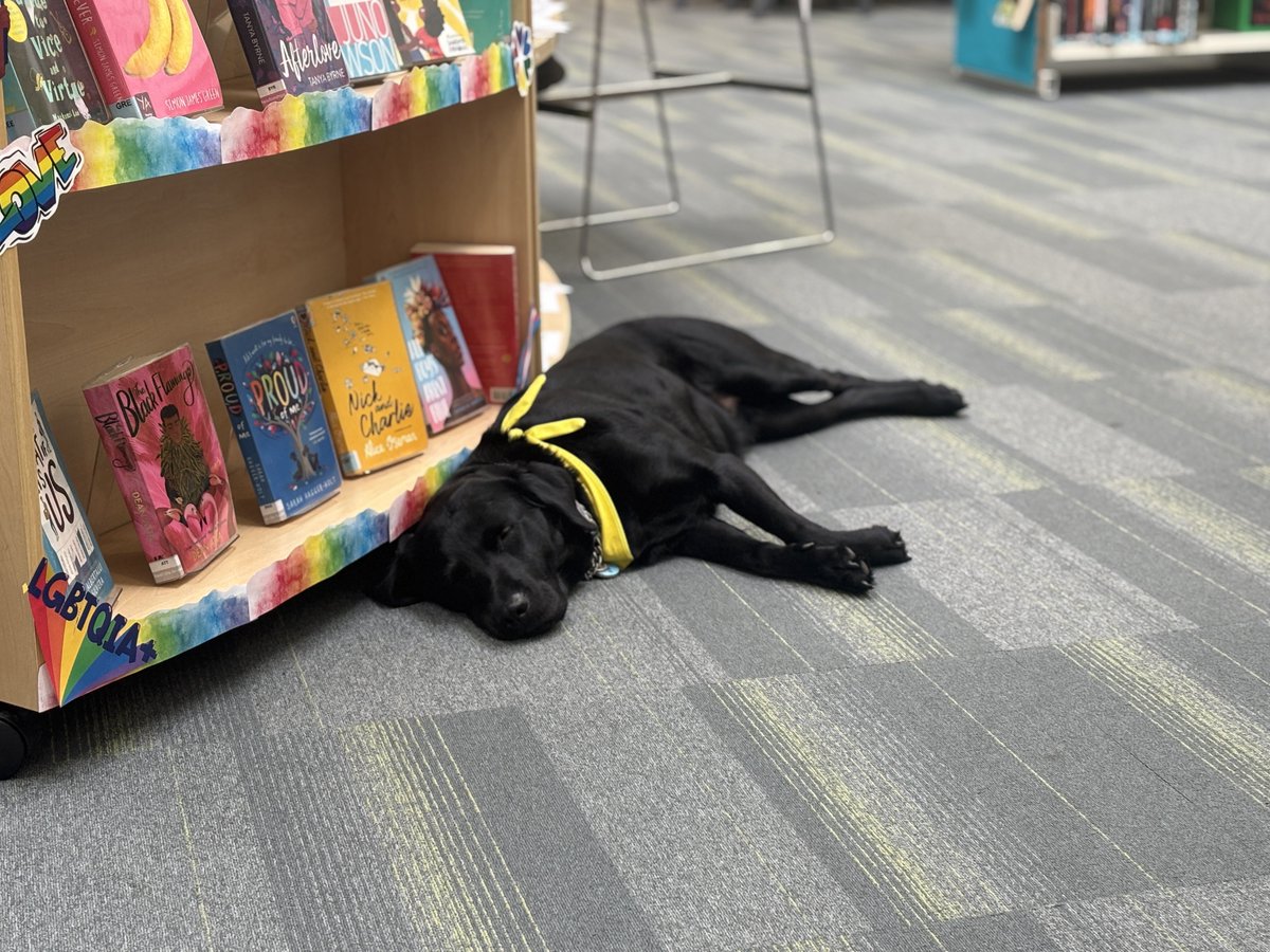 Forfar Academy Library tweet media