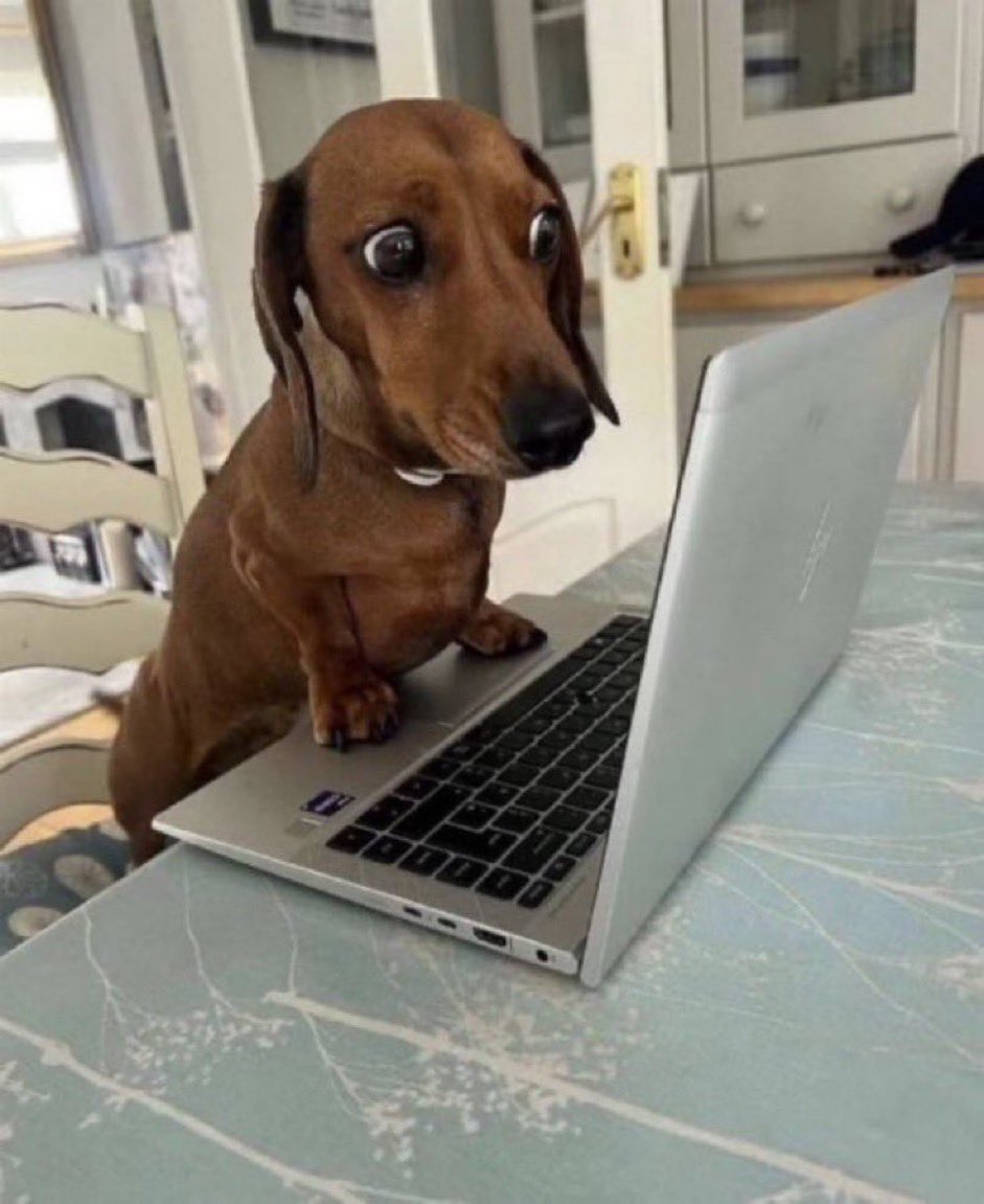 Nima Tavallaey Roodsari tweet media