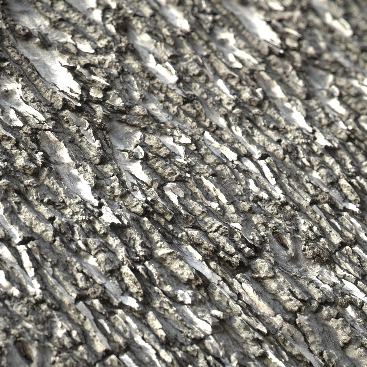 Some of the materials I built for my Marshlands scene. Scans were made using <a href="/RealityCapture_/">RealityScan</a> , processed using <a href="/Substance3D/">Adobe Substance 3D</a> Designer, alongside the rest of the procedural materials. Rendered using the in PBR Render node.

Check out more shots in detail:
artstation.com/artwork/3EmklJ