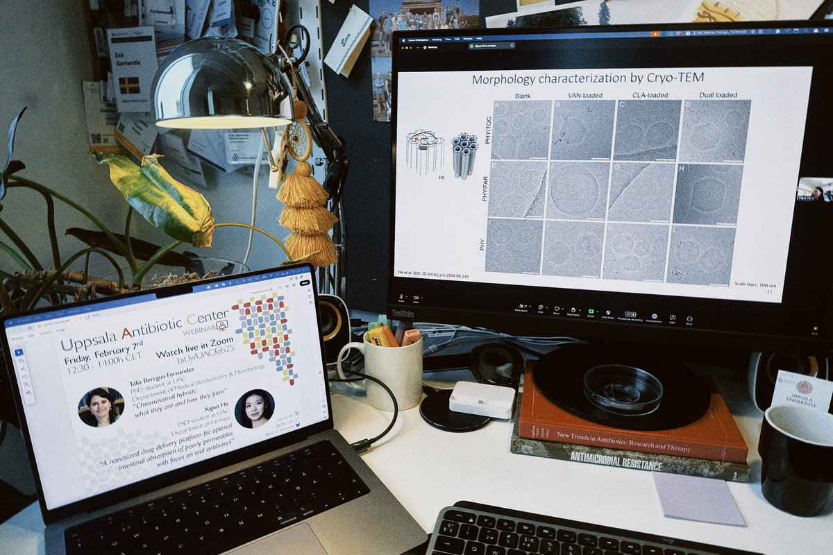 Starting today our webinar series for 2025, featuring our own students’ research! Today Xiguo He shares work on #nanoparticles &amp; #drugdelivery, &amp; later Talia Berruga will talk to us about #bacterialhybrids &amp; resistance #evolution

Join us at bit.ly/UACfeb25!