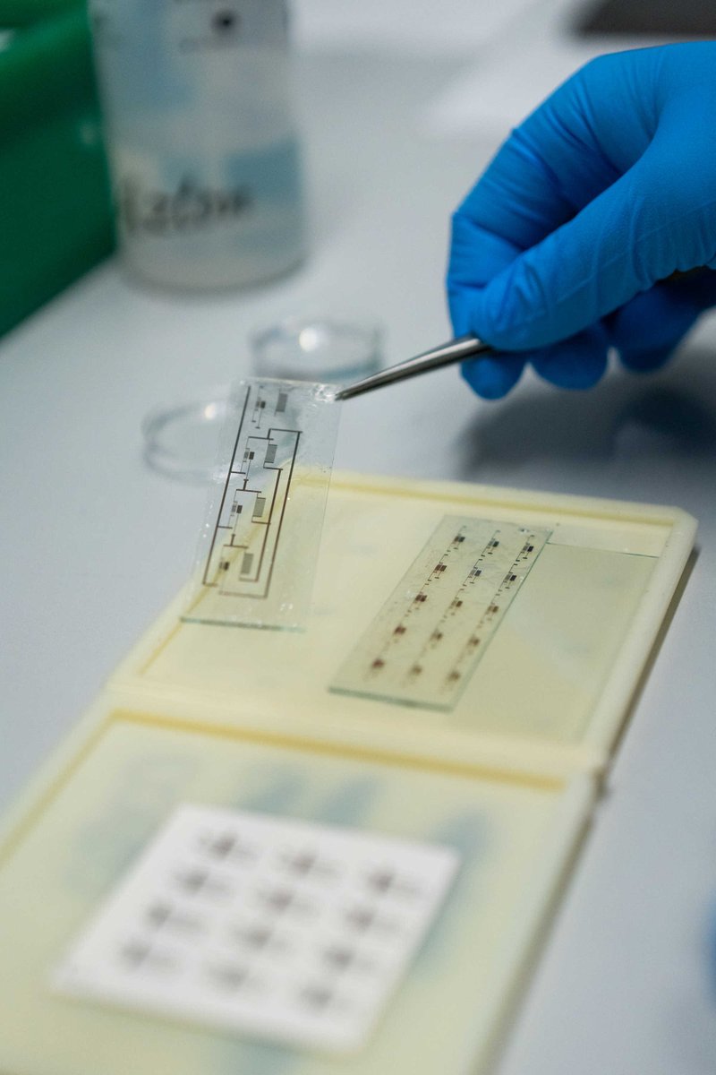 📢 We will be soon opening new postdoc positions in Organic Sustainable Electronics! If you have a strong background in thin-fim transistors and hands on experience in printing, especially inkjet, and you would like to consider joining our group, do get in touch. <a href="/IITalk/">IIT</a>