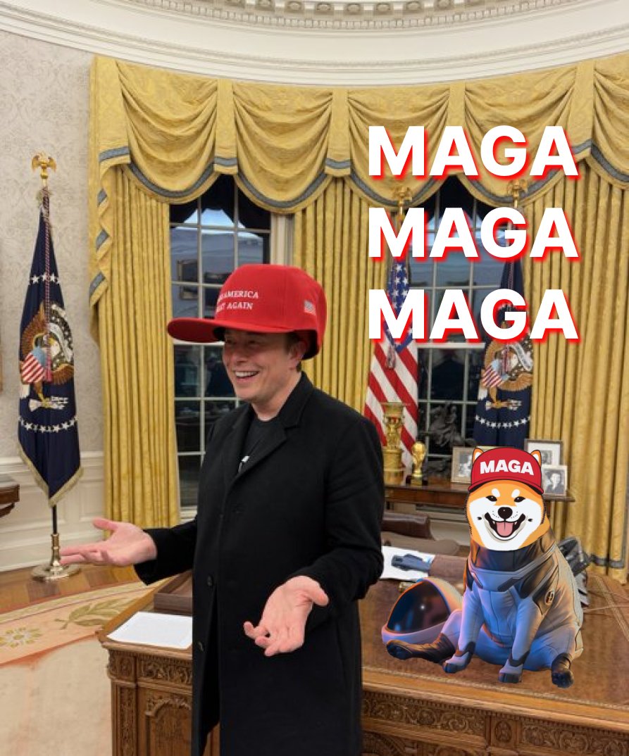 DogWithCap (WIC) tweet media