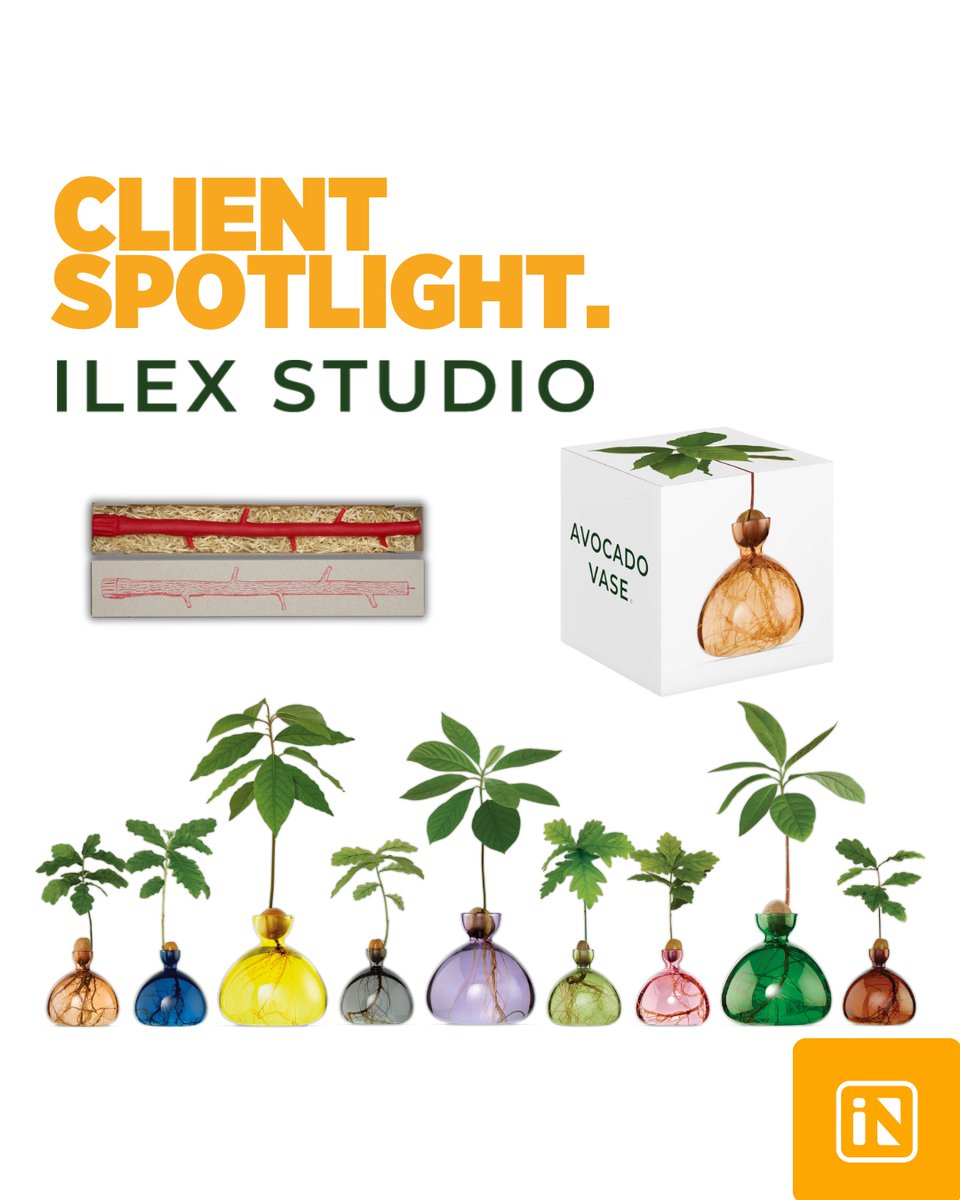 inline_intl's tweet photo. Today's Client Spotlight is on the fabulous Ilex Studio, who we've had the pleasure of providing our fulfilment services to. 

#ilexstudio #vase #fulfilment #sustainability #delivery https://t.co/cxwzjR1zmm
