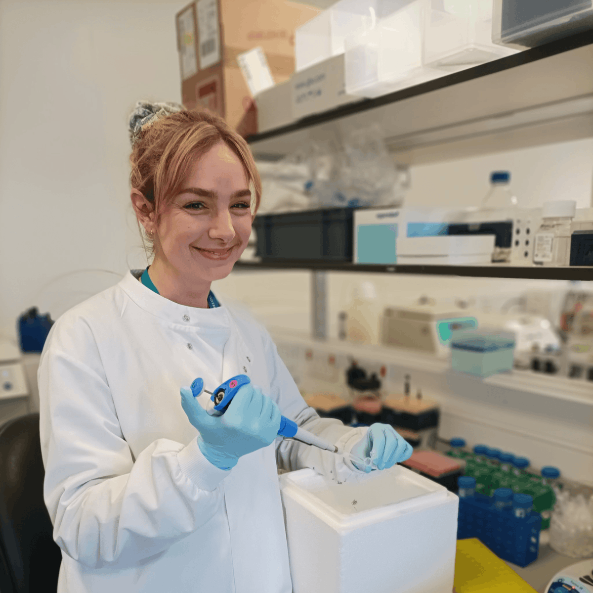 York for Life tweet media