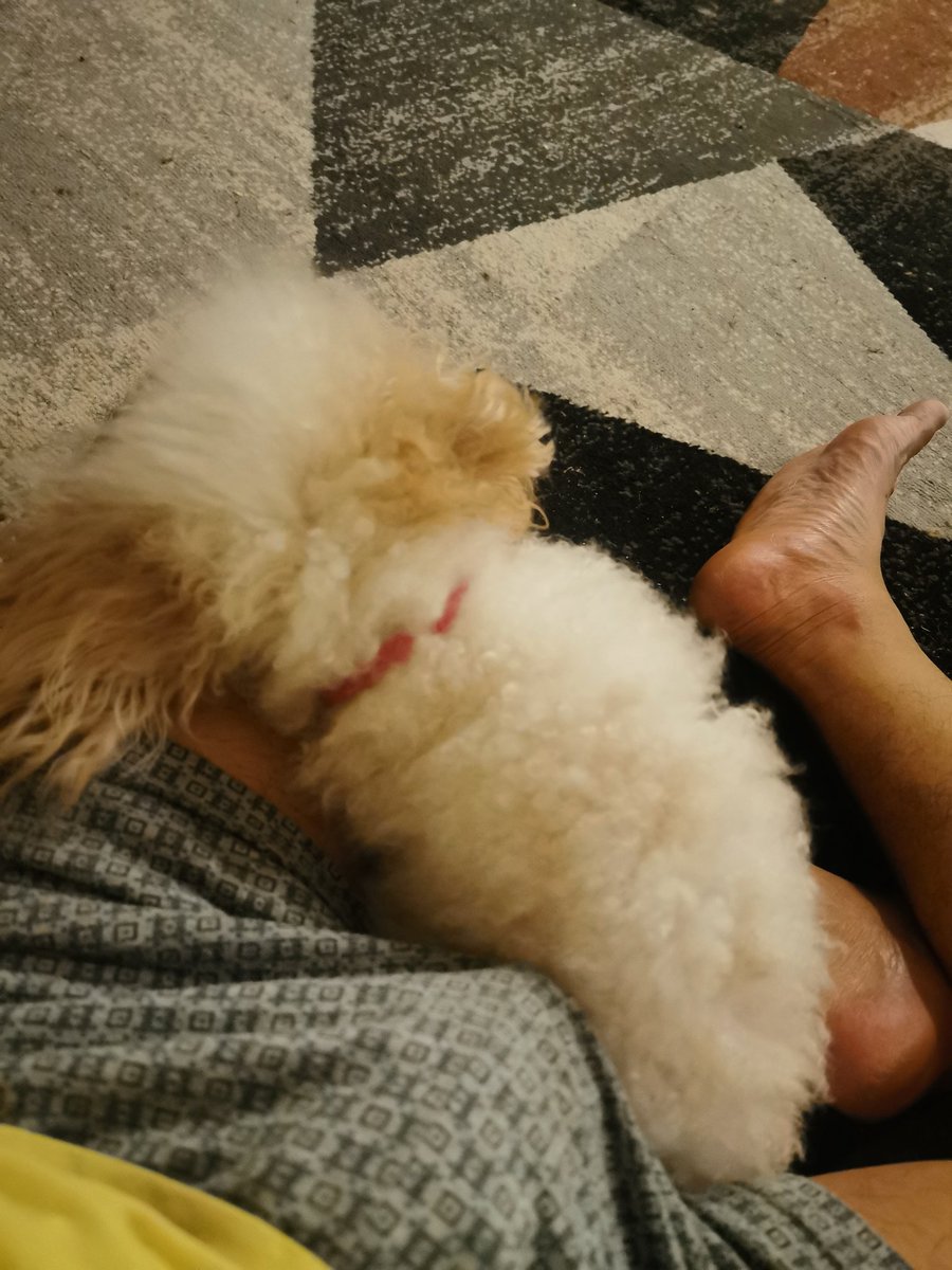 chrstphr_chan's tweet photo. Tulog na alaga ko.... https://t.co/yqtHfESU64