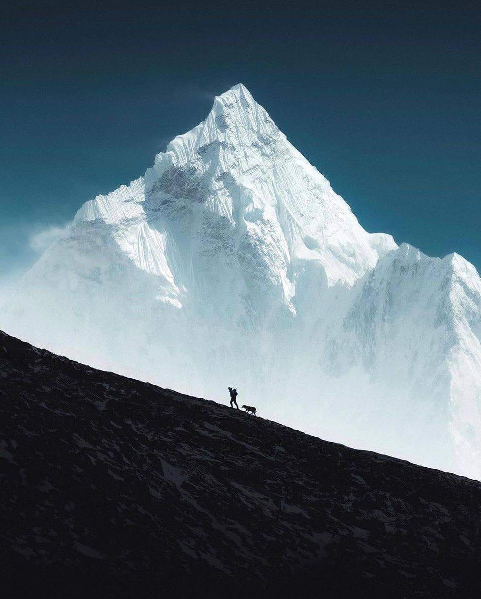 MitchellWi79248's tweet image. Hiking the Himalayas with Men Best Friend